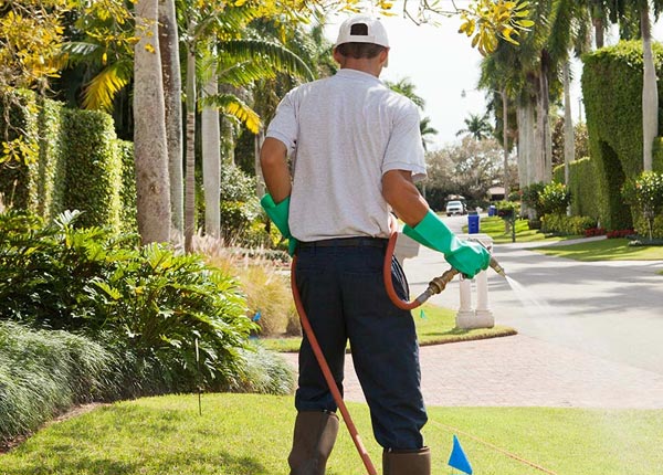 About Ball LA Pest Control
